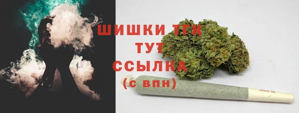 крисы Аркадак