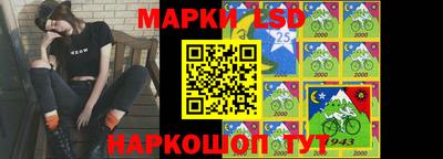 спайс Берёзовский