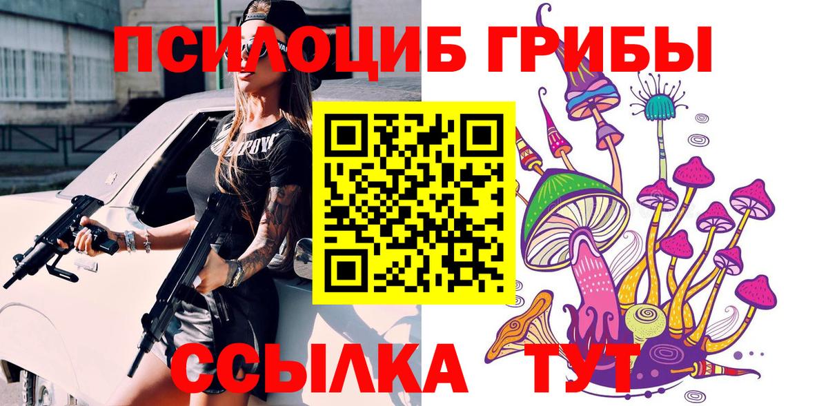 Галлюциногенные грибы прущие грибы  Вход с VPN  Вятские Поляны 