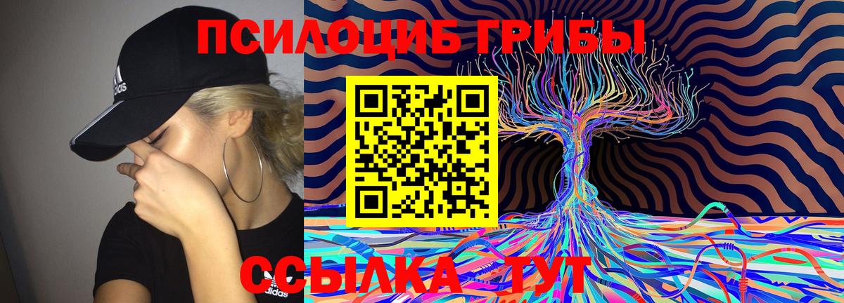 Псилоцибиновые грибы Psilocybe  Вятские Поляны  наркота  Псилоцибиновые грибы мухоморы 